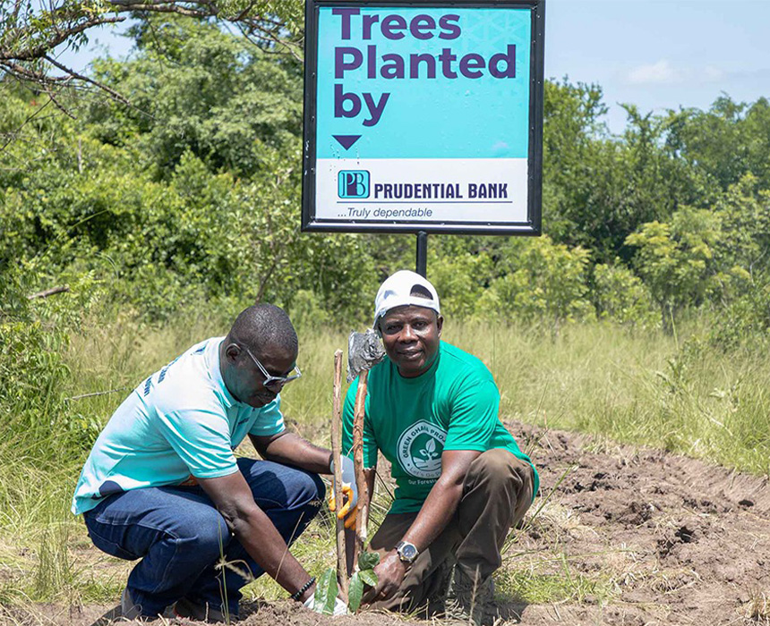 Prudential Bank Commits To Environmental Sustainability With Tree Planting Exercise